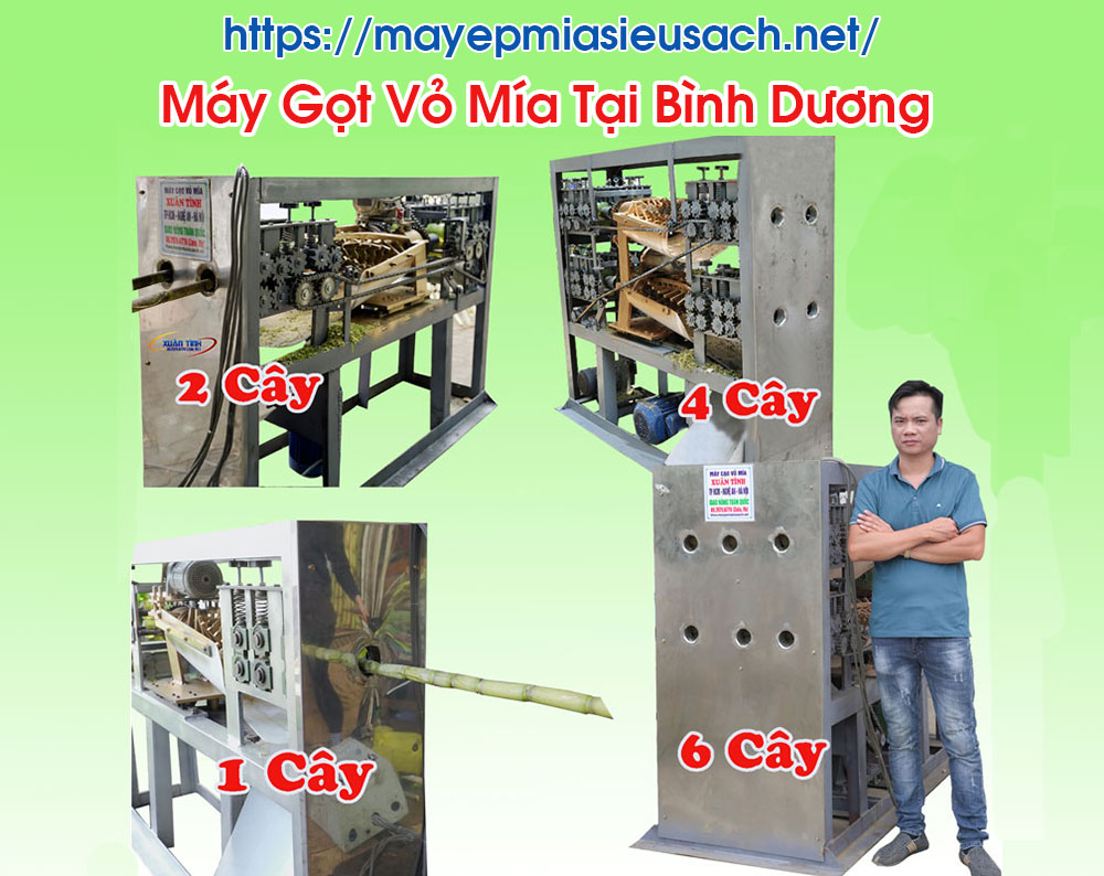 Máy Gọt Vỏ Mía Tại Bình Dương