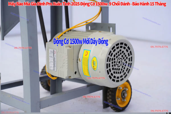 May Bao Vo Mia Gia Dinh Mini Xuan Tinh 2