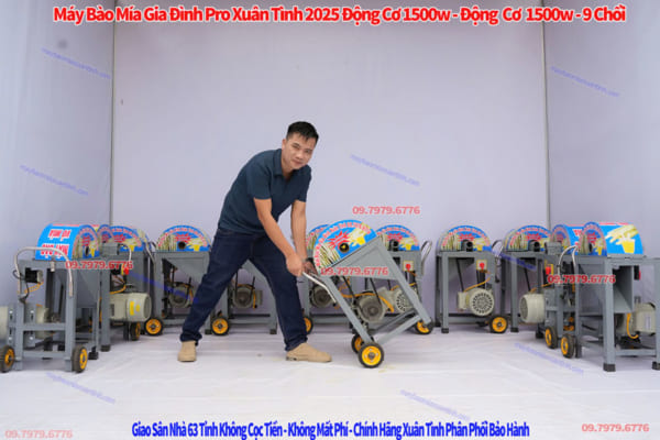 May Bao Vo Mia Gia Dinh Mini Xuan Tinh 5