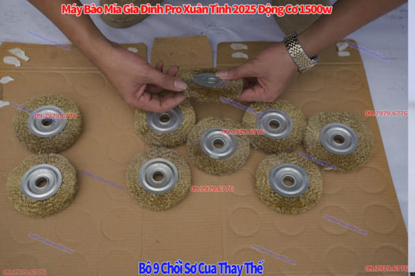May Bao Vo Mia Gia Dinh Mini Xuan Tinh 6