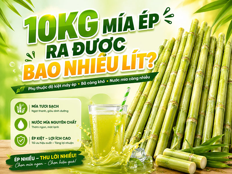 10KG mía ép ra được bao nhiêu lít?